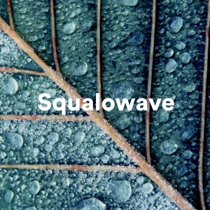 收聽Squalowave的To.DAY歌詞歌曲