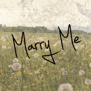 收聽Beautiful Ride的Marry Me歌詞歌曲