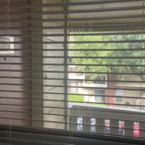 Dengarkan lagu probably not (Explicit) nyanyian ovrwrld dengan lirik