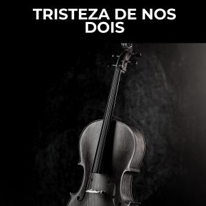 Album Tristeza de nos Dois from Bossa Rio
