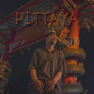 Listen to ตกหลุมรักเธอไปตั้งหลายครั้ง (Explicit) song with lyrics from PITTAYA