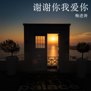 Album 谢谢你我爱你 from 梅进涛