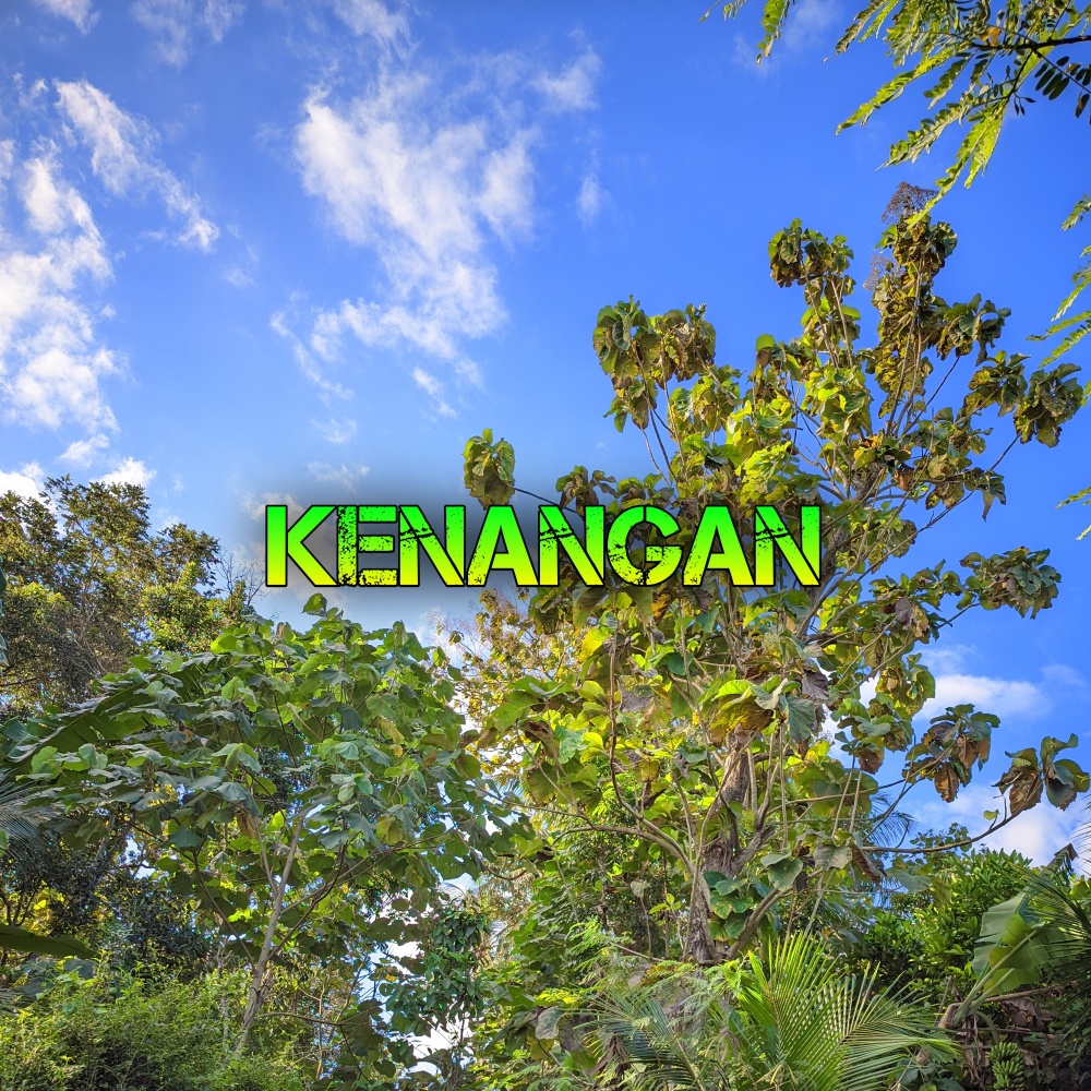 Kenangan