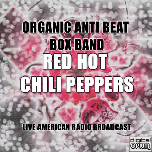 收聽Red Hot Chili Peppers的Castles Made Of Sand (Live)歌詞歌曲