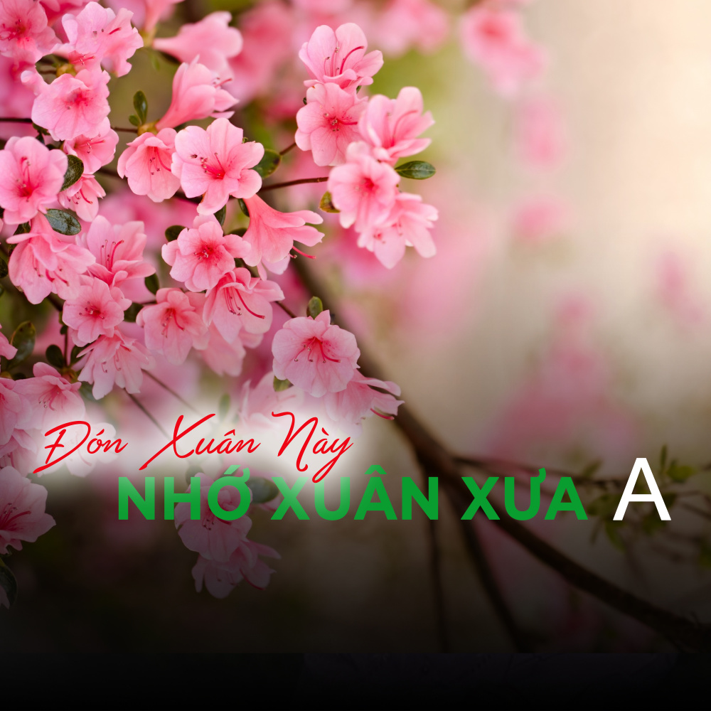 Đón xuân này nhớ xuân xưa