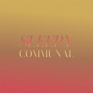 อัลบัม Sleepy Communal ศิลปิน Various