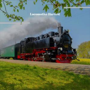 收听Rosid的Locomotive Harvest歌词歌曲