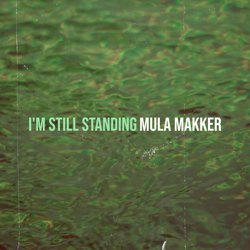 I'm Still Standing (Explicit)