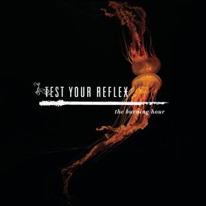 收聽Test Your Reflex的This Year (If We Fall in Love)歌詞歌曲