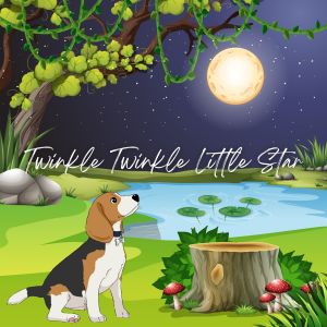 收聽Buggy Beagle的Twinkle Twinkle Little Star (Instrumental)歌詞歌曲