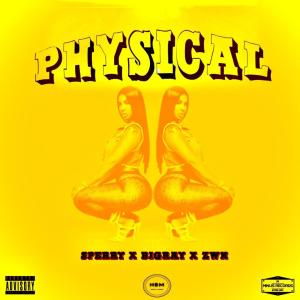 ดาวน์โหลดและฟังเพลง PHYSICAL (feat. zwn) (Explicit) พร้อมเนื้อเพลงจาก bigray