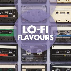 Bob Bradley的專輯Lo-Fi Flavours
