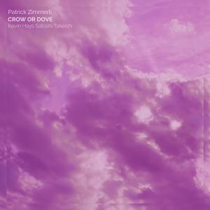 Patrick Zimmerli的專輯Crow Or Dove (feat. Kevin Hays & Satoshi Takeishi)