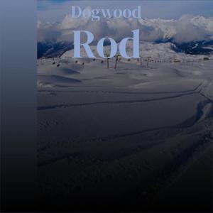 Various的专辑Dogwood Rod