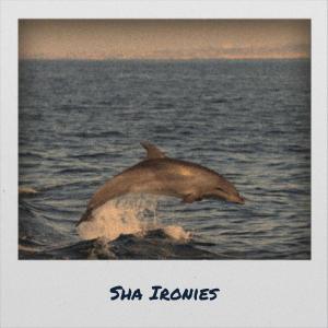 Listen to Sha Ironies song with lyrics from Laras Pril