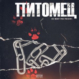 Listen to Партия Мира (Explicit) song with lyrics from Da Many Pro