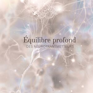 Listen to Tranquillité de l’esprit song with lyrics from Zen Méditation Ambiance