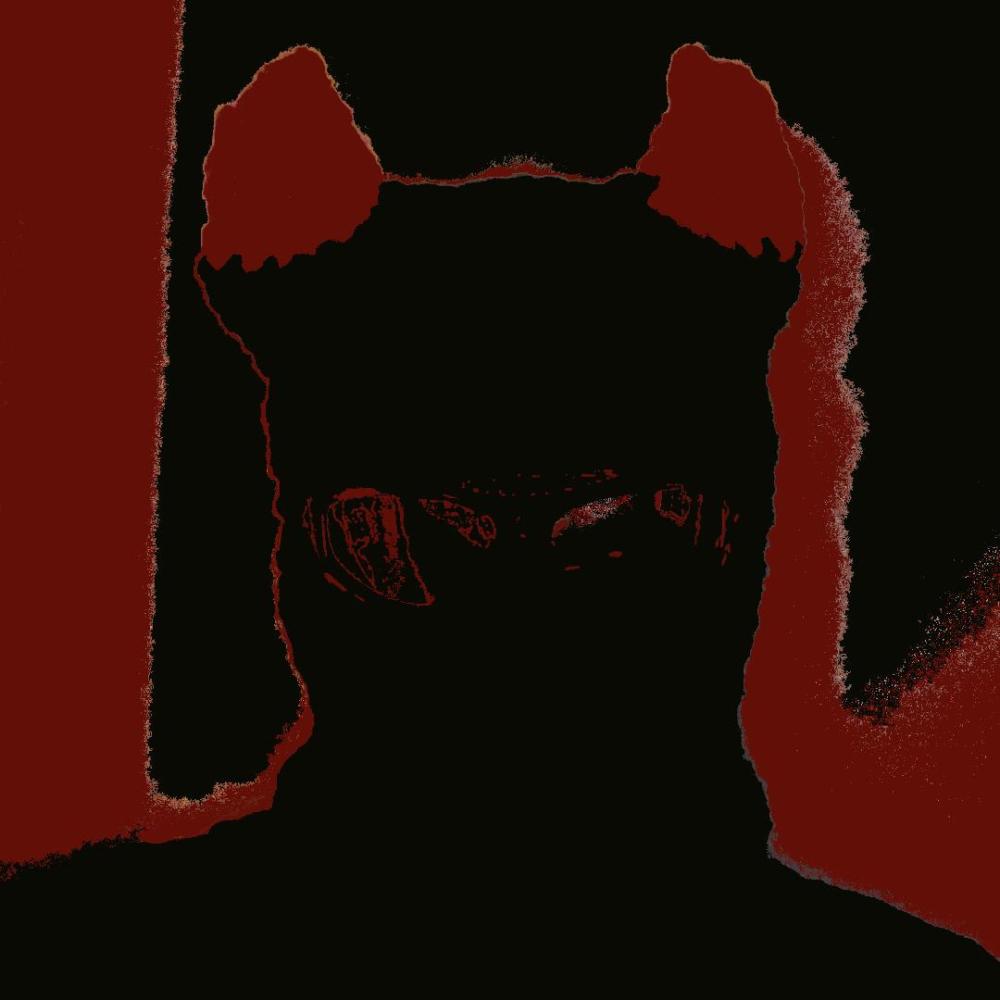 I S A G I (Explicit)