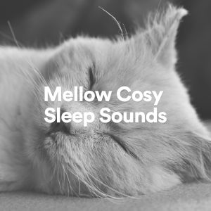 Mellow Cosy Sleep Sounds dari Brown Noise Baby