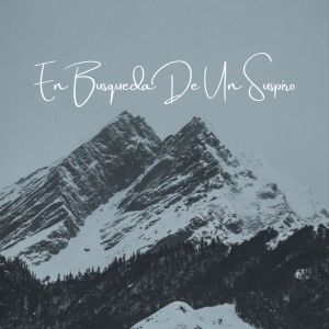 Dj Ritmo的专辑En Busqueda De Un Suspiro