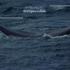 Listen to Beneath Directly song with lyrics from Tessan