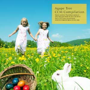 ดาวน์โหลดและฟังเพลง A peaceful time พร้อมเนื้อเพลงจาก Angel's Piano