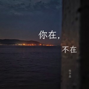 Album 你在，不在 from 杨李鑫