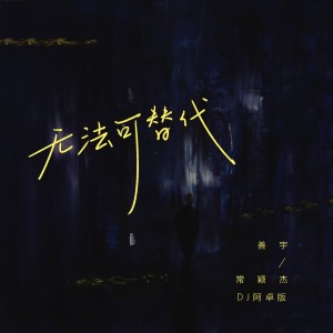 Album 无法可替代(DJ阿卓版) from 常颖杰