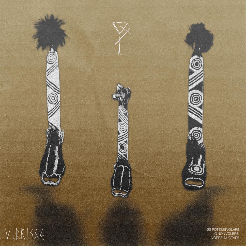 Vibrisse