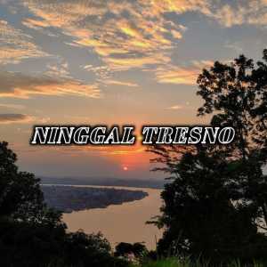 Ninggal Tresno (Original Song) dari DJ LEO REMIX