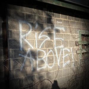 Album Rise Above! from Matt$