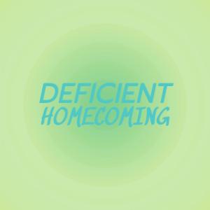 Various Artists的專輯Deficient Homecoming