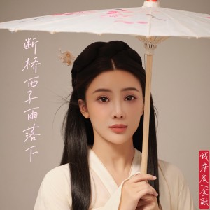 Listen to 断桥西子雨落下 (完整版) song with lyrics from 金融