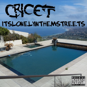 Album Itslonelyinthemstreets (Explicit) from Cricet