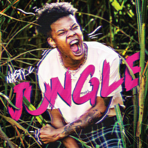 收聽Nasty C的Jungle (Explicit)歌詞歌曲