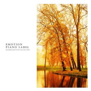 Album November Meditation (Healing Piano) from Korea Various Artists