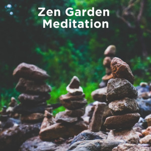收听Nature Sounds的Calming Ambience歌词歌曲