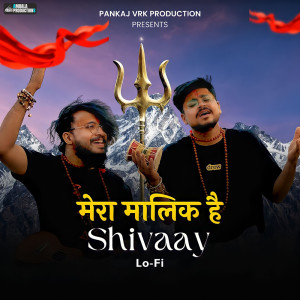 Album Mera Maalik Hai Shivaay (Lo-Fi) from Pankaj VRK