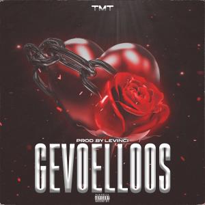 TMT的專輯Gevoelloos (Explicit)