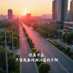 Album 你离开后，只留我面对湘江道的夕阳 from 自由卡尺