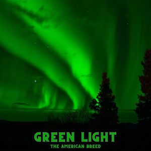 Album Green Light from American Breed