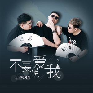 收听半吨兄弟的不要说爱我 (伴奏)歌词歌曲