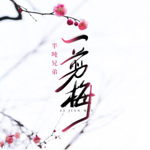 Listen to 一剪梅 song with lyrics from 半吨兄弟