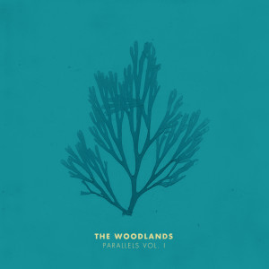 ดาวน์โหลดและฟังเพลง I Wanted You (Single Version) พร้อมเนื้อเพลงจาก The Woodlands