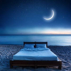 Oak Wood Lofi的專輯The Slumber Hip Hop Music: Music For Peaceful Sleep