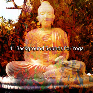 Ambiente的专辑41 Background Sounds For Yoga