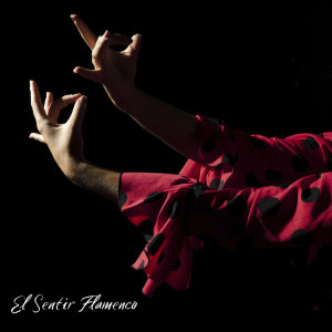 Various的專輯El Sentir Flamenco