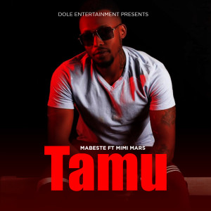 Listen to Tamu song with lyrics from Mabeste