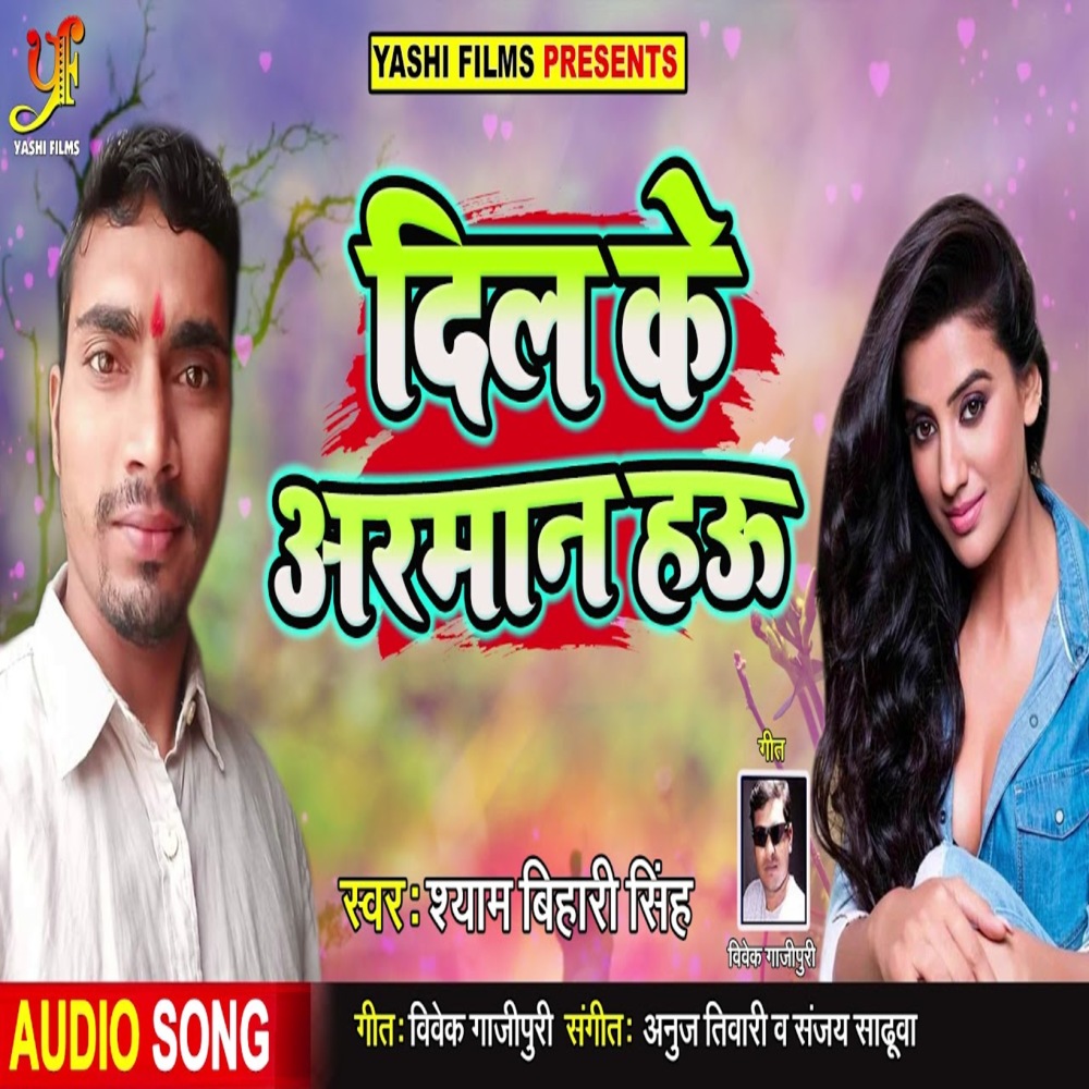 Dil Ke Armaan Hau