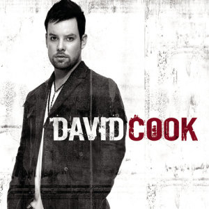 收聽David Cook的Permanent歌詞歌曲